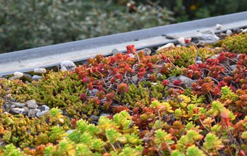 the cost of Newtownstewart green roof installation