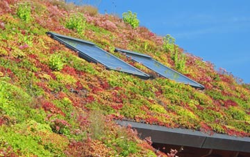 Newtownstewart living roof systems