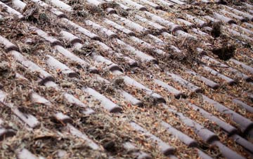 Newtownstewart roof cleaning companies