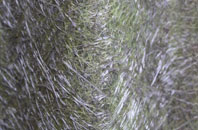 Newtownstewart fibreglass roof work