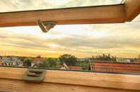 rated Newtownstewart roof window companies